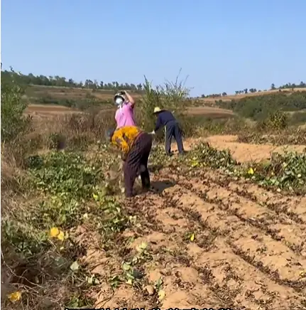 姥姥日常生活_姥姥家的生活日记百家号_王姥姥的家庭日常